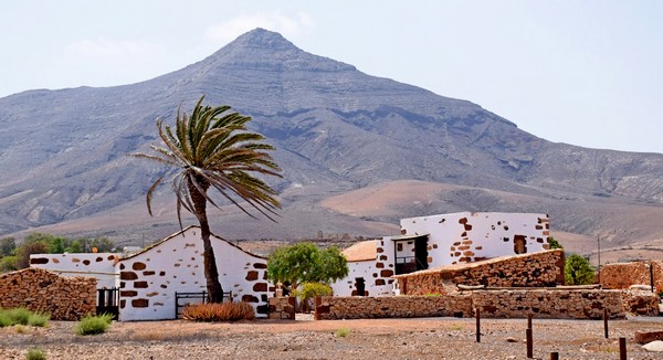 Museo Alcogida