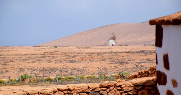 Museo Alcogida
