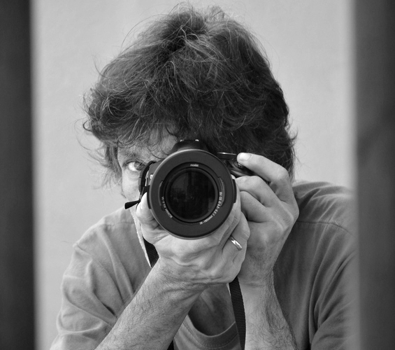 Maurizio Bertuccelli